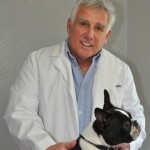 An Introduction: The Dog Dietitian