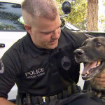 Police Dog Reunited With Officer After Being Shot in Line of Duty