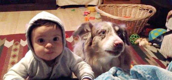 https://guildofshepherdsandcollies.com/wp-content/uploads/2015/09/Dog-Says-Mama-Video-Pic.jpg