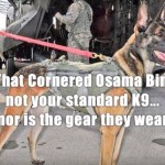 The Dog That Cornered Osama bin Laden