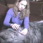 Bergamasco Fur: Knots and Mats and Brushing, Oh My!