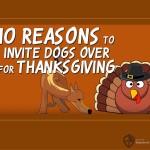 10 Reasons to Invite Dogs Over for Thanksgiving