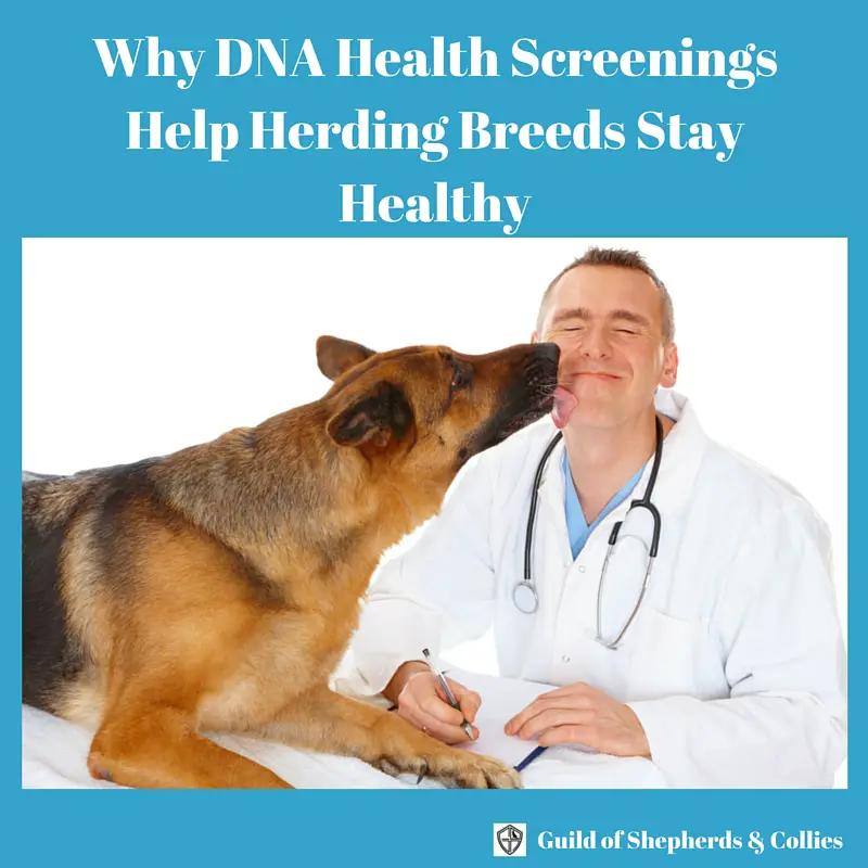 dna health screenings
