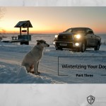 Winterizing Your Dog, Part 3