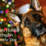 Random Holiday Thoughts from the Dog
