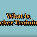Clicker Training 101