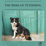 The Risks of Tethering