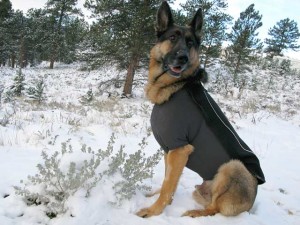 winter warm-ups shepherd coat