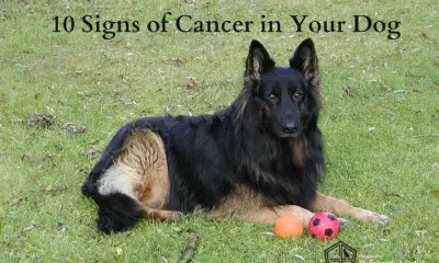 signs of cancer
