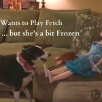 Border Collie Wants to Play! Doesn’t Understand She’s … Frozen
