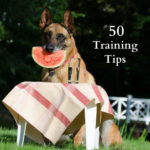 50 Training Tips from a Professional