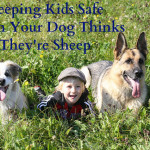 Keeping Kids Safe When Your Dog Thinks They’re Sheep