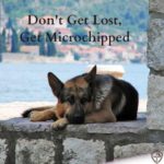 Don’t Get Lost, Get Microchipped