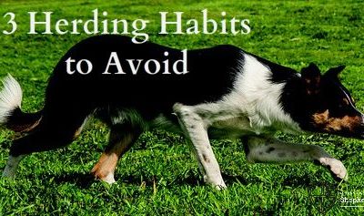 habits to avoid