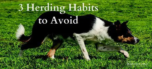 habits to avoid