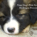 Hydrogen Peroxide – A Plus or Minus for Your First Aid Kit?