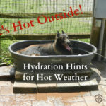 Hydration Hints for Hot Weather